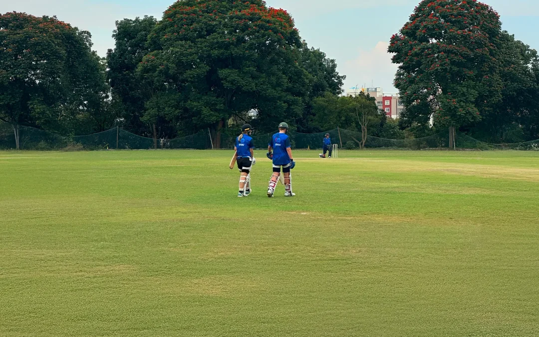 Types of Cricket Pitches: All You Need to Know